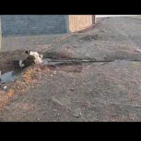 زمین هکتاری،بین روستای کلاکوب و گنبدواز|فروش زمین و ملک کلنگی|مشهد, خواجه ربیع|دیوار