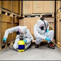 سمپاشی و موریانه زدایی منازل بادرک با تخفیف ویژه