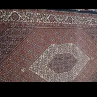 یک جفت فرش6متری مرینوس دستبافت|فرش|تاکستان, |دیوار