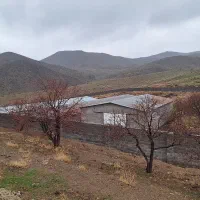 کارگرمرغداری