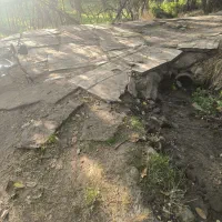 باغ با انواع میوه|فروش دفتر صنعتی، کشاورزی، تجاری|نهاوند, |دیوار