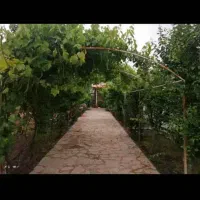 خانه-باغی-امتیازت-کامل-سند-تک-برگ