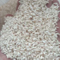 برنج دخل یا قلوه برنج|خوردنی و آشامیدنی|رشت, آتشگاه|دیوار