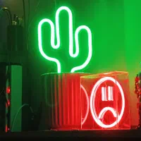 کاکتوس نئونی گلدانی