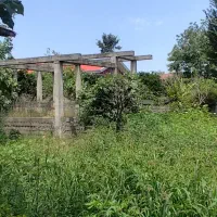 زمین نیمه ساز|فروش زمین و ملک کلنگی|ماکلوان, |دیوار