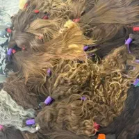 موهای 45 سانت به بالا