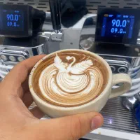 اموزش باریستا ،کافه ،بارگرم،باریستا