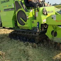 زوملاین گلد 2020