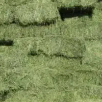 یونجه قالبی