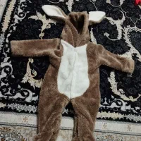 سرهمی خرگوشی نوزادی