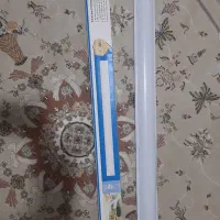 دوعددمهتابی اکبندرنگ افتابی