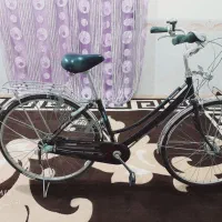 دو عدد دوچرخه جاپونی گیربوکسی ویوا