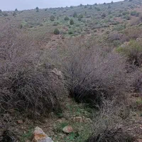 کوهنوردی و پیاده روی