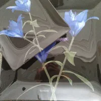 بشقاب میوه خوری
