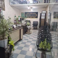 ویلایی شمالی