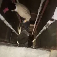 شیب بندی و آجر چینی و سیمانکاری|خدمات پیشه و مهارت|کرمانشاه, |دیوار