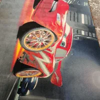 قالی ۷۰۰ شانه|فرش|مریوان, |دیوار