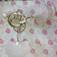 لوستر|لوستر و چراغ آویز|نی‌ریز, |دیوار