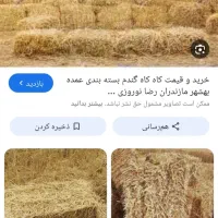 کاهبرنجعالی