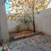 اجاره مسکن|اجارهٔ خانه و ویلا|مشگین شهر, |دیوار