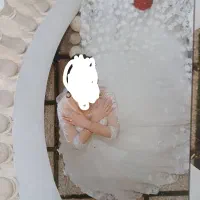 لباس عروس پرکاروسنگدوزی شده
