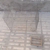 قفس پرنده|لوازم جانبی حیوانات|کرمانشاه, |دیوار