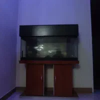 آکواریوم با پایه همراه با تمامی وسایل