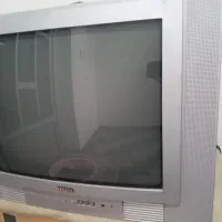تلویزیون