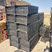 باغ و کشاورزی