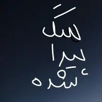 سگ پیدا شده
