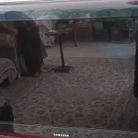 تلوزیون