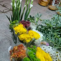 انواع باکس و سبد شب چله ای|گل و گیاه طبیعی|بیرجند, |دیوار