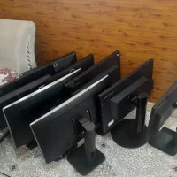 استوک تکی و تعداد