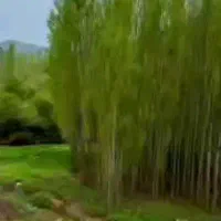 گیاهی درمانی