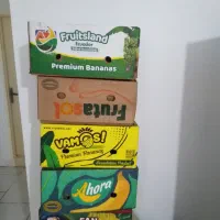 کارتن موز و اسباب کشی