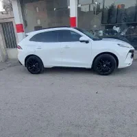 لاماری بی رنگ