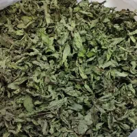 سبزی مارکت صفا|خوردنی و آشامیدنی|شیراز, دست خضر|دیوار