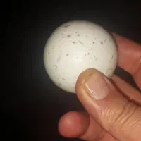 سنگ آسیاب|کلکسیون اشیاء عتیقه|سنندج, |دیوار