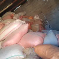 کاه گندم دیم