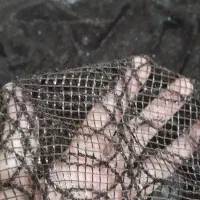 پرده توری|پرده، رانر، رومیزی|ابهر, |دیوار