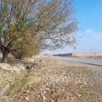 باغ ویلا   جاده زیبای دشت