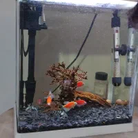 سلام برای فروش  آکواریوم درحدنوبا کلیه لوازم