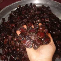 خرمای کبکاب درجه یک