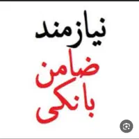 ضامن میخوام