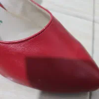 کفش قرمز|کیف، کفش، کمربند|ساری, |دیوار