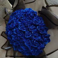 رز روبانی