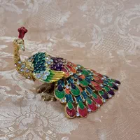 جا جواهری طاووس زیبا