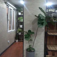 همکار خانم جهت کار خدمات وآشپزی