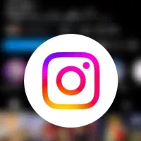 جشنواره فالور