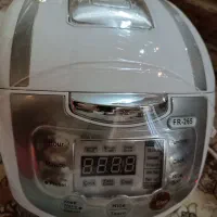 پلوپز ۲۱ کاره گاسونیک اصل